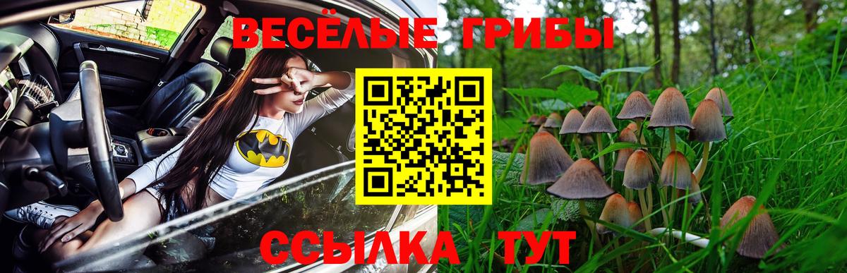 Псилоцибиновые грибы Cubensis Люберцы