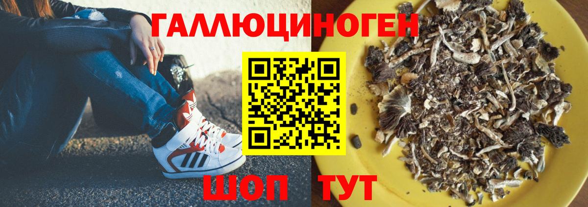 Люберцы  купить наркотик  Вход с VPN  Псилоцибиновые грибы прущие грибы 